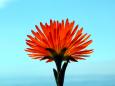 Strategy consulting for business growth KMG Consulting - helping your business grow